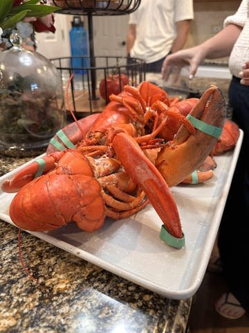 Live Maine Lobster photo review