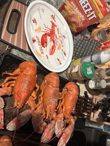 Live Maine Lobster photo review