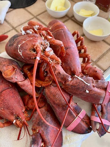 Live Maine Lobster photo review