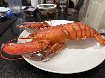 Live Maine Lobster photo review