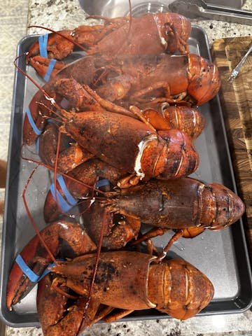 Live Maine Lobster photo review