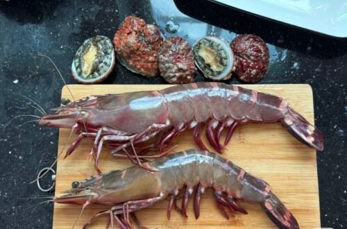 Colossal Black Tiger Prawns photo review